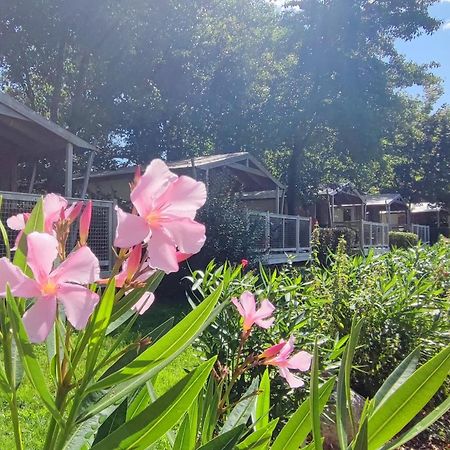 Camping Capfun La Breteche Les Épesses Exteriör bild